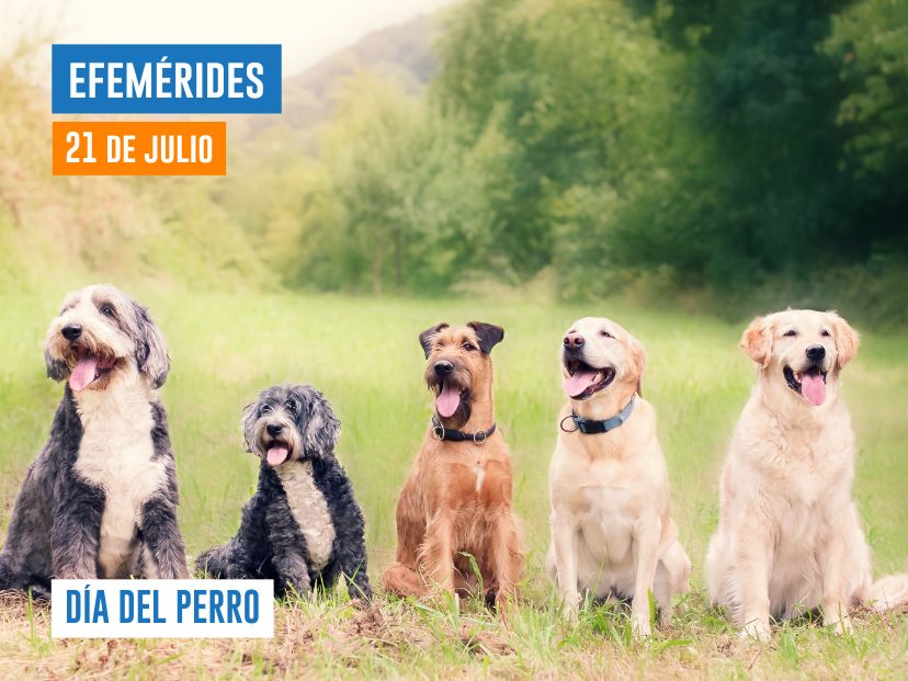 21 de julio - Día del Perro