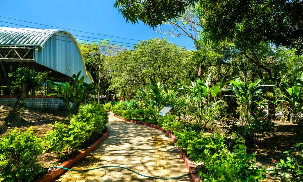 Joya de Cerén la Pompeya de América