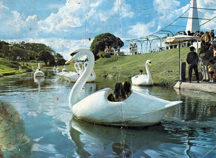 Lago de los Cisnes del Parque Camet: la historia del paseo infantil de Mar del Plata recordado por generaciones