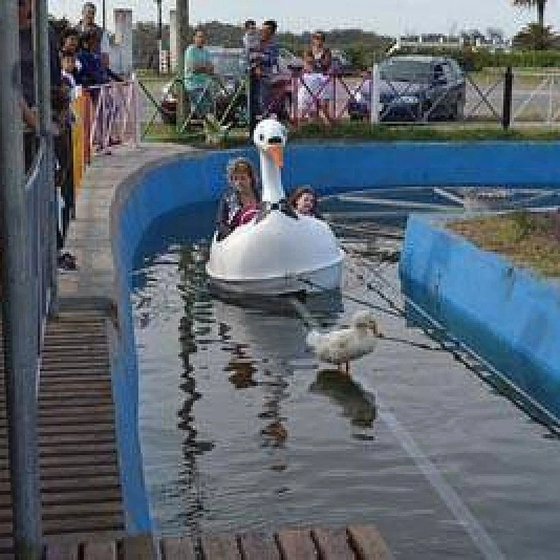 Lago de los Cisnes del Parque Camet: la historia del paseo infantil de Mar del Plata recordado por generaciones