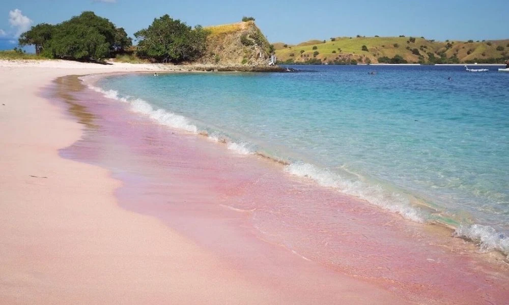 Vistas a la Pink Beach.