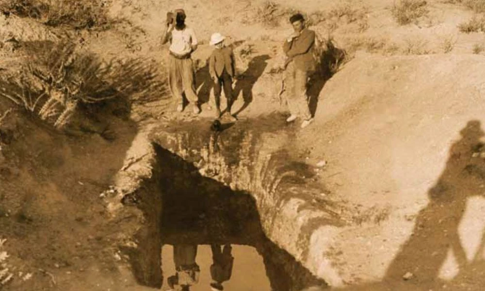 Vaca Muerta, Argentina