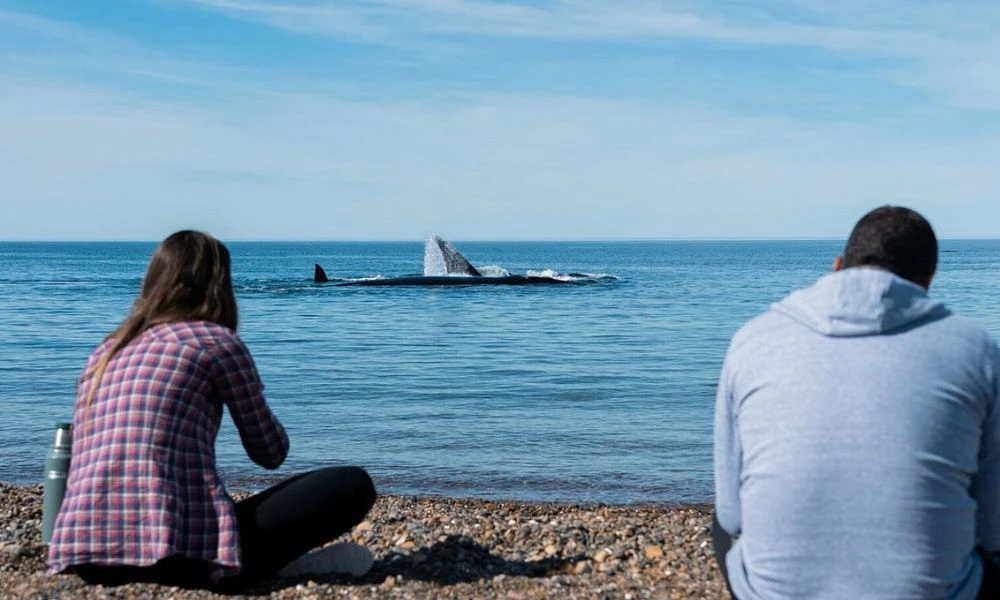 El Doradillo, Chubut, Puerto Madryn