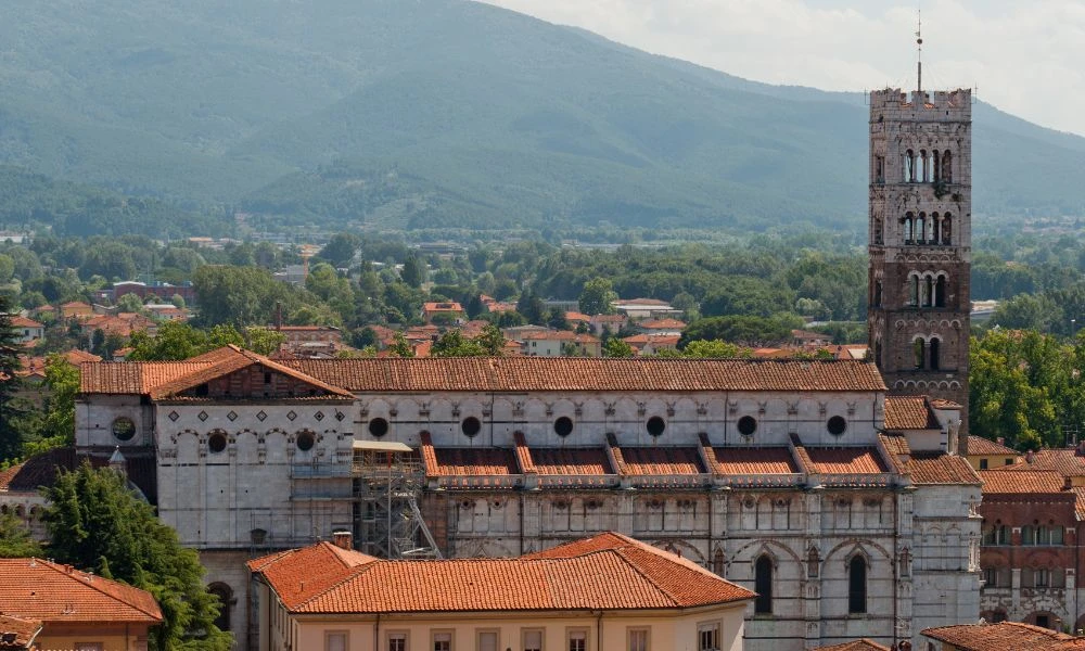 Vistas a la Catedral de San Martín.