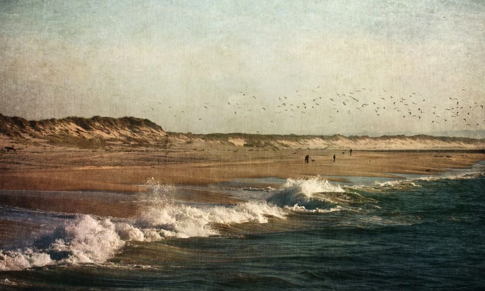 Significado de la palabra Tuyú