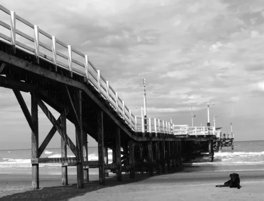 La Lucila del Mar: la historia y presente de una de las playas más tranquilas de Argentina