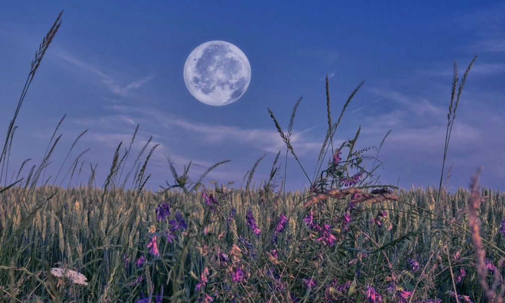 función de la Luna para el planeta Tierra