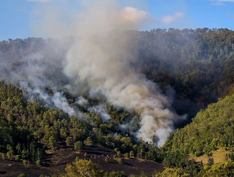 por qué sale humo de un incendio
