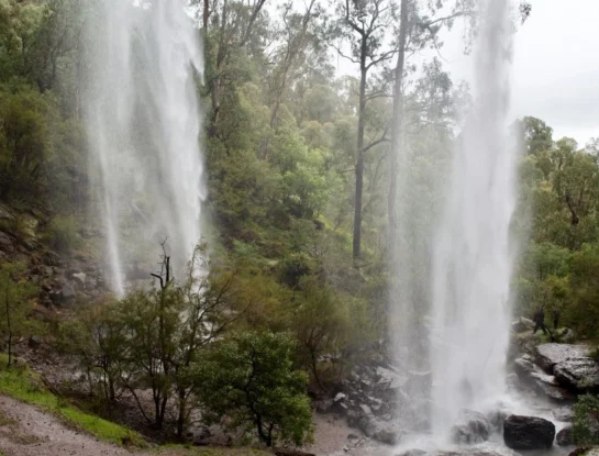 Alpine: ¿en qué país se encuentra este parque nacional de 646.000 hectáreas?