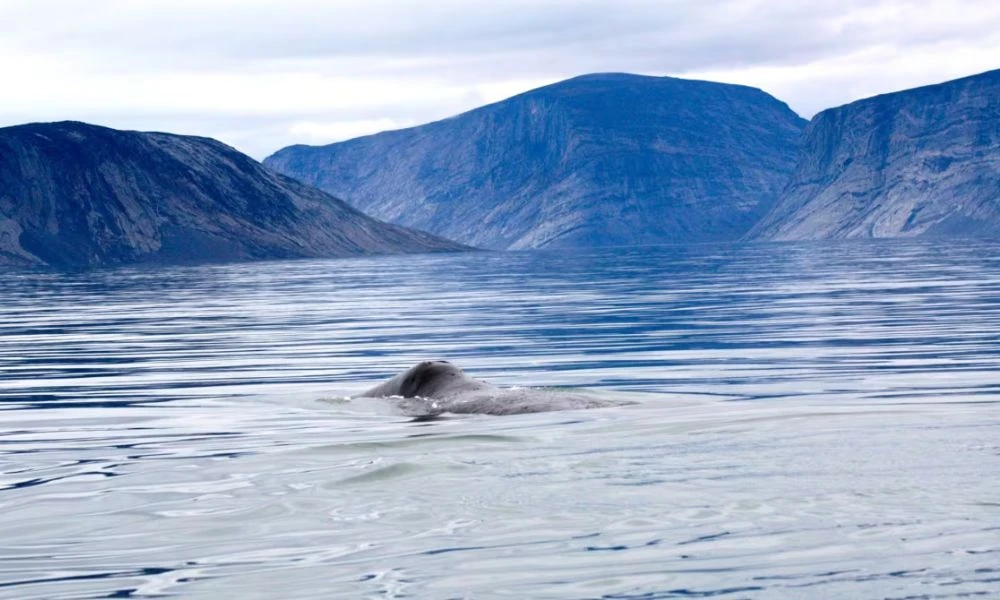Paisajes de Cumberland Sound.