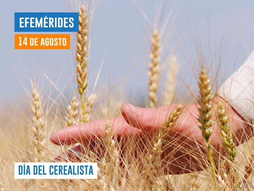 14 DE AGOSTO