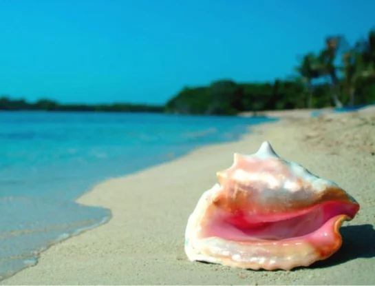 Cabo Catoche: el paraíso desconocido de México que está muy cerca de Cancún