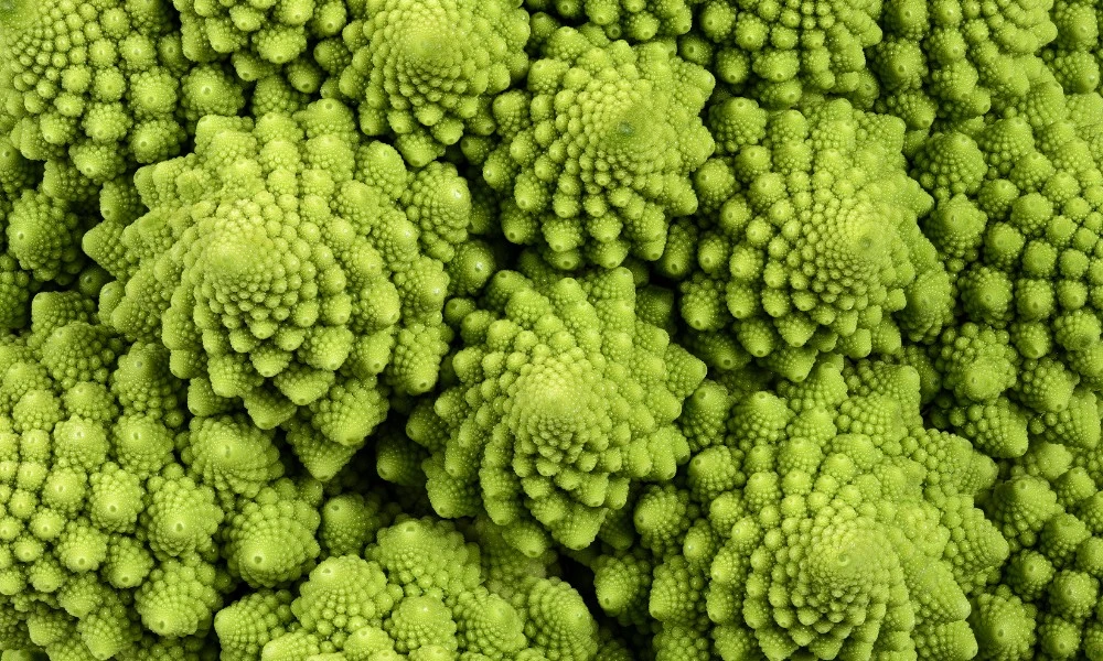 brocoli romanesco, uno de los vegetales más curiosos del mundo