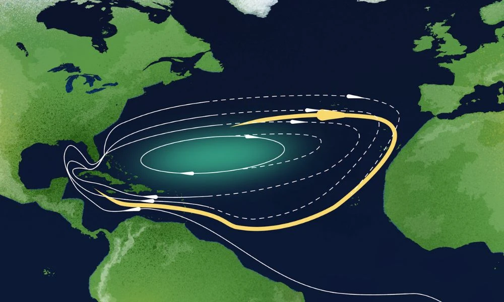 La zona donde está el Mar de los Sargazos.