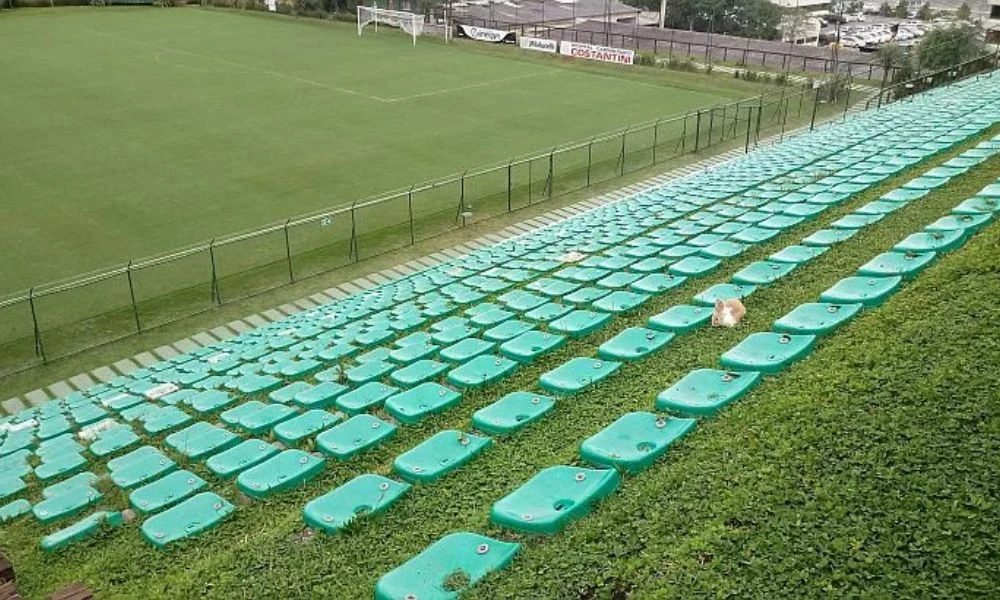 Asientos del estadio ecológico.