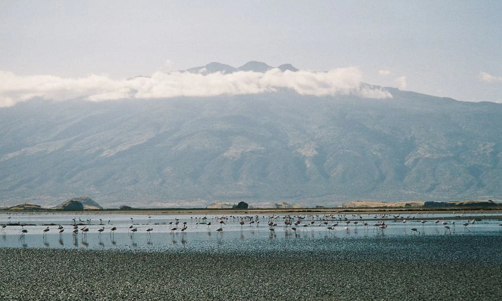Paisajes del Lago Natron.