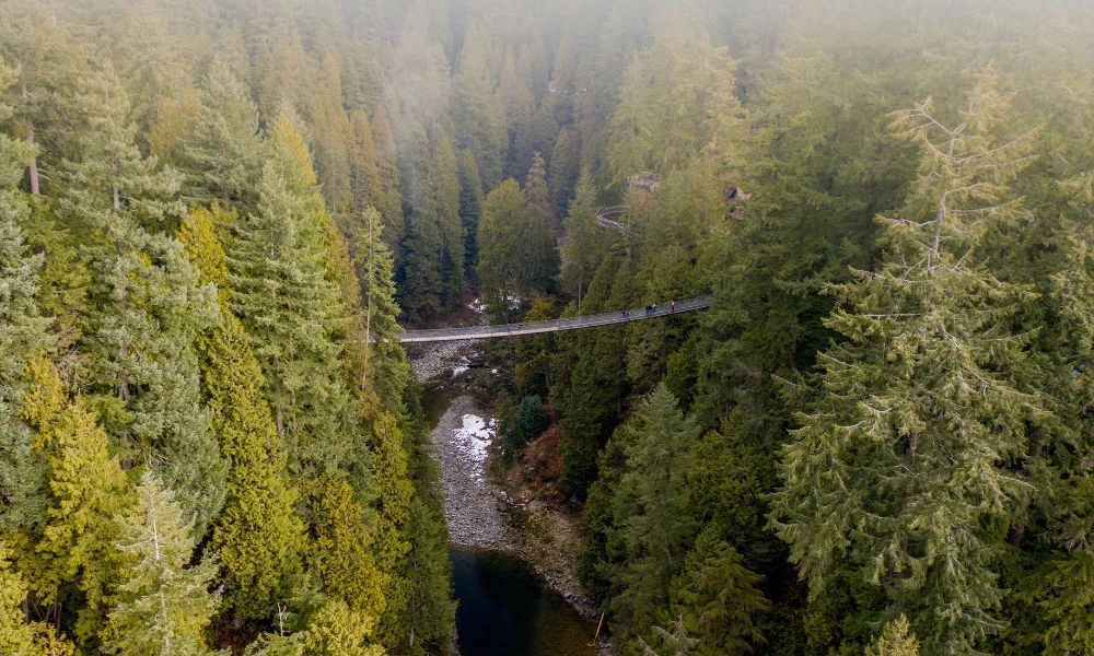 Paisajes que rodean al puente colgante de Capilano.