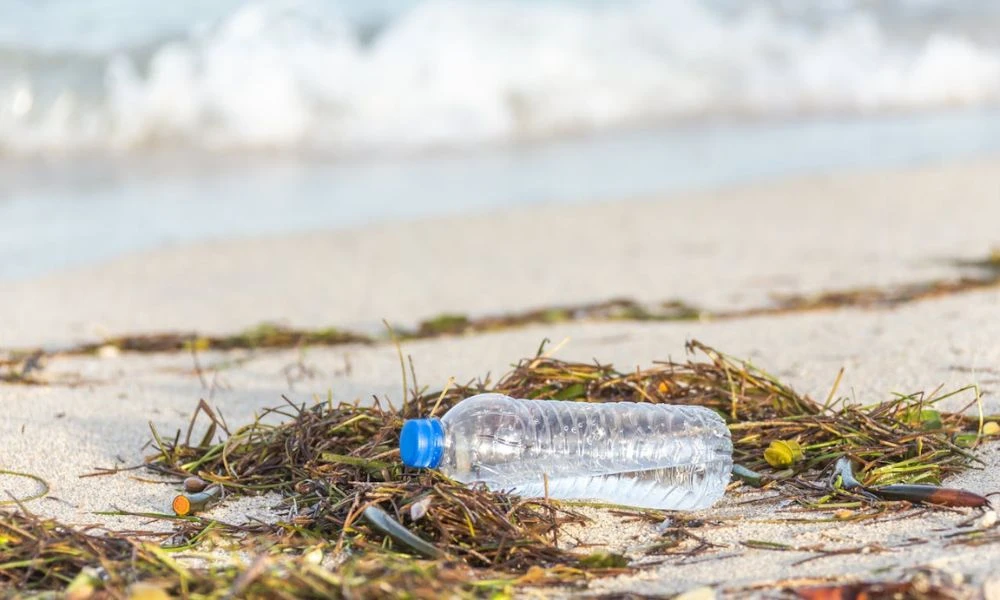 Basura en la ciudad más contaminada de España.