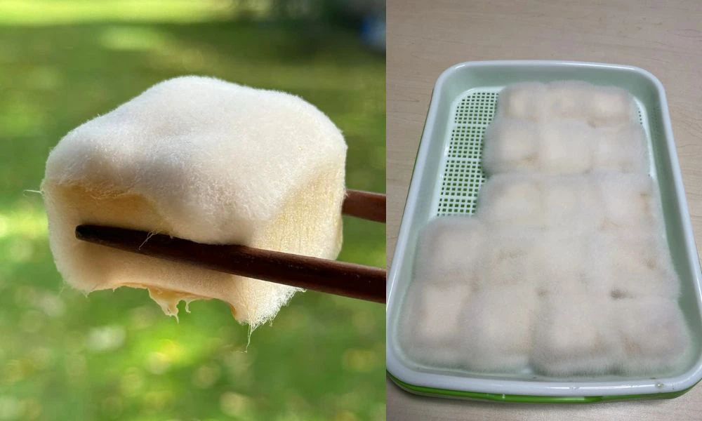 Tofu mohoso, conocido como queso oriental