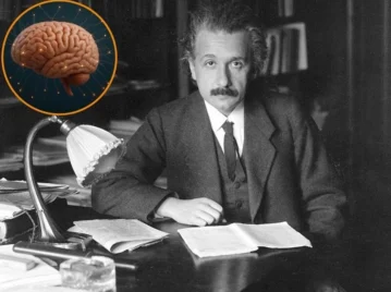 Robo del cerebro de Einstein
