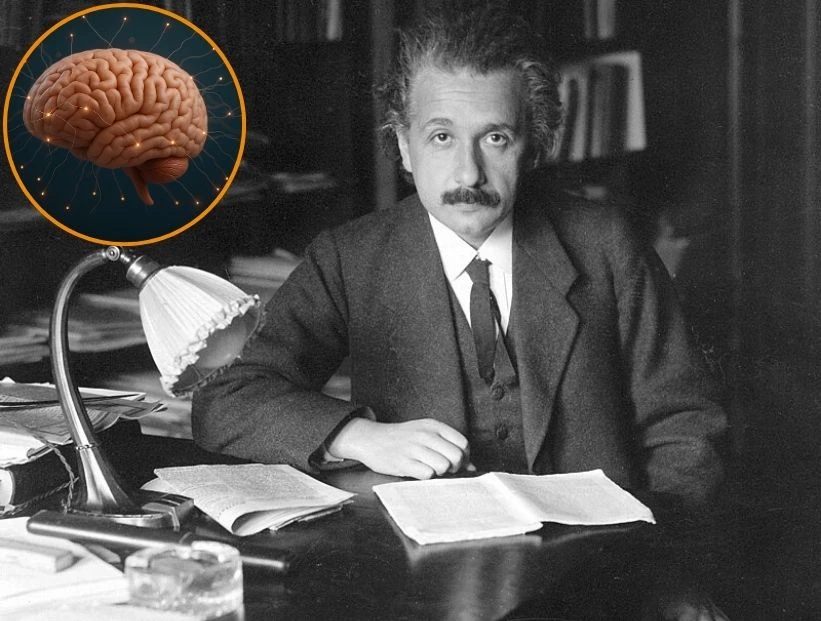 Robo del cerebro de Einstein