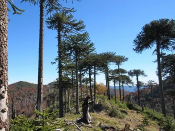 decima-reserva-natural-mas-antigua-del-mundo