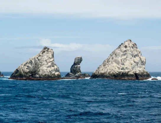 Mario Giovinetto, el argentino que se convirtió en la primera persona de la historia en poner un pie en las remotas islas Aurora