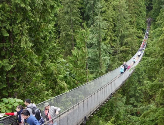 Puente colgante de Capilano: ¿en qué parte de América está y por qué muchos no se animan a cruzarlo?