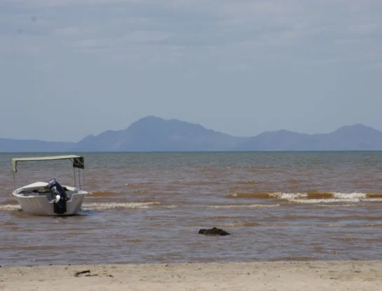 Turkana: todo lo que hay que saber sobre el mayor lago alcalino del mundo