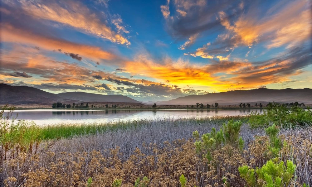 cuándo ocurrirá el equinoccio de primavera 2025