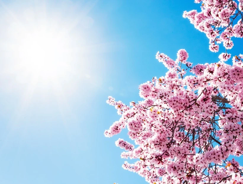 cuándo ocurrirá el equinoccio de primavera 2025