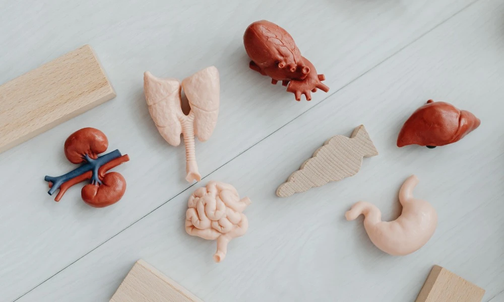 Donación de órganos en Argentina