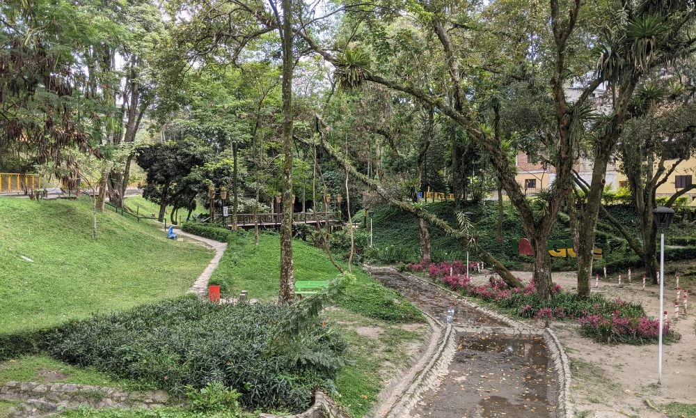 Naturaleza de la ciudad.