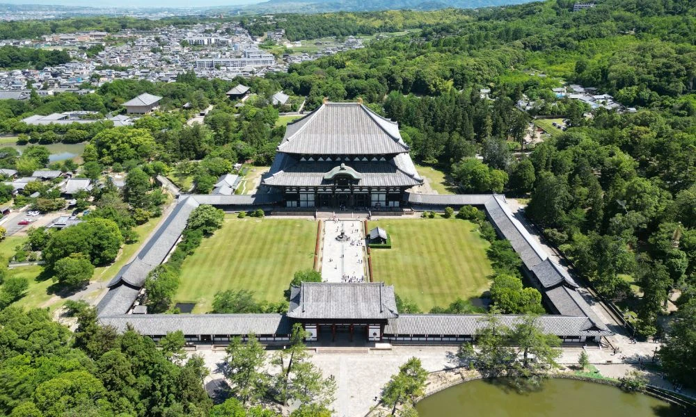 Vista aérea a la estructura de madera más grande del mundo.