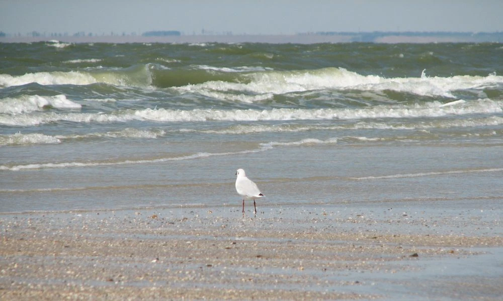 Naturaleza del mar más llano del mundo.