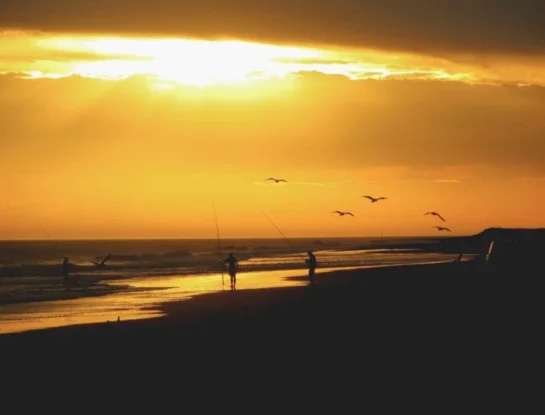 San Cayetano: ¿cómo llegar a este tranquilo y pequeño balneario de Buenos Aires que sorprende con sus playas enormes y su laguna de 800 hectáreas?