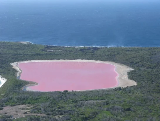 Hillier: el sorprendente lago rosa de Australia que causa furor entre los turistas