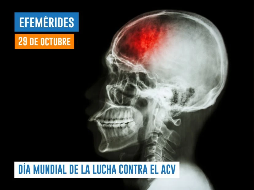 29 de octubre