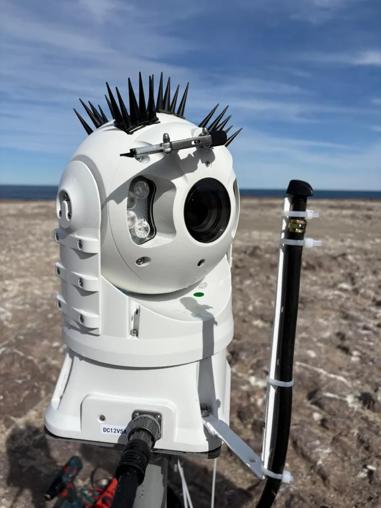 Proyecto Patagonia Azul ciencia Argentina