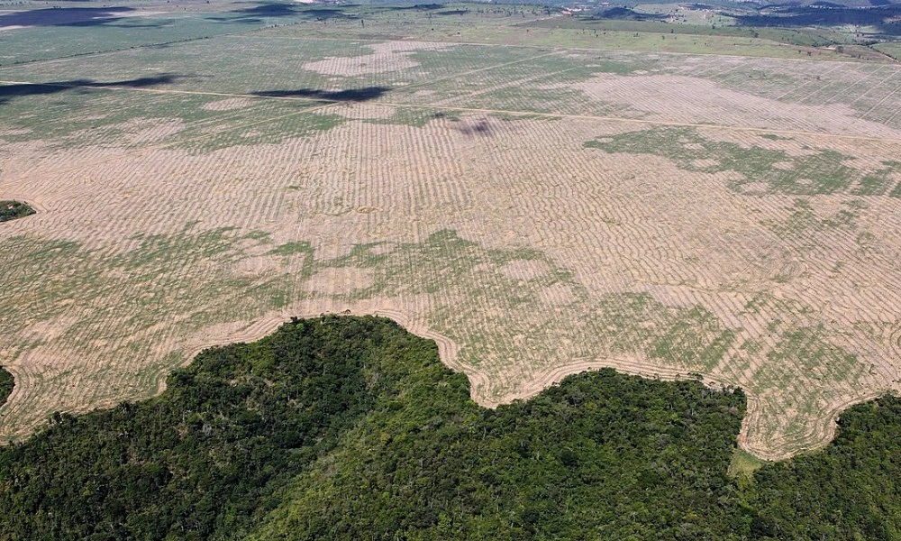 Deforestación en el Amazonas