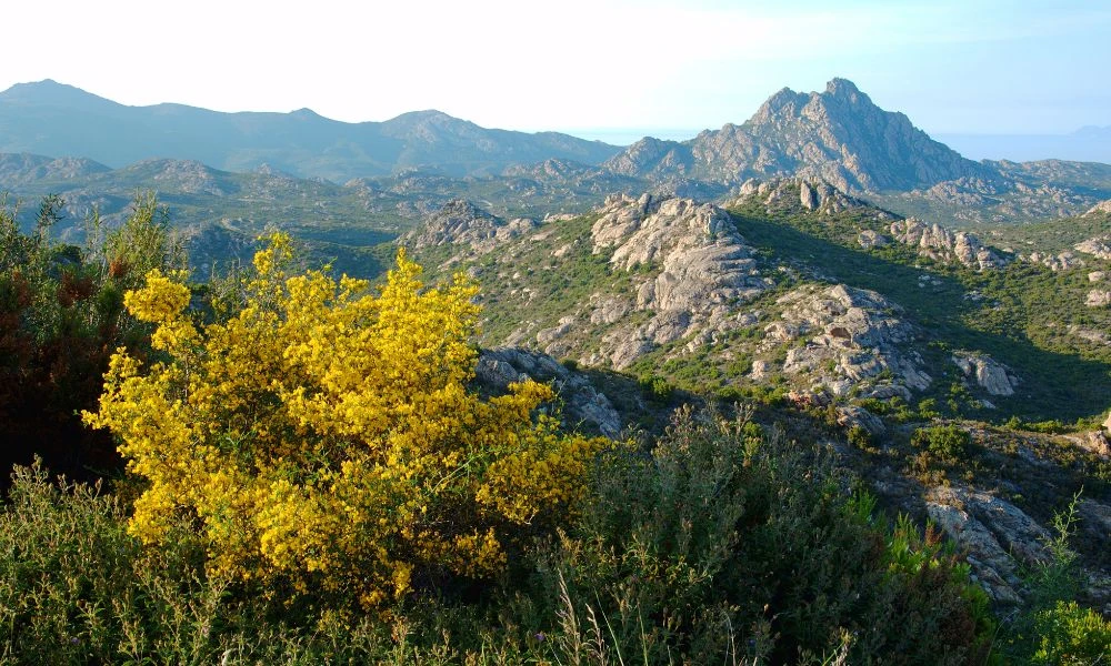 Paisajes de Córcega.
