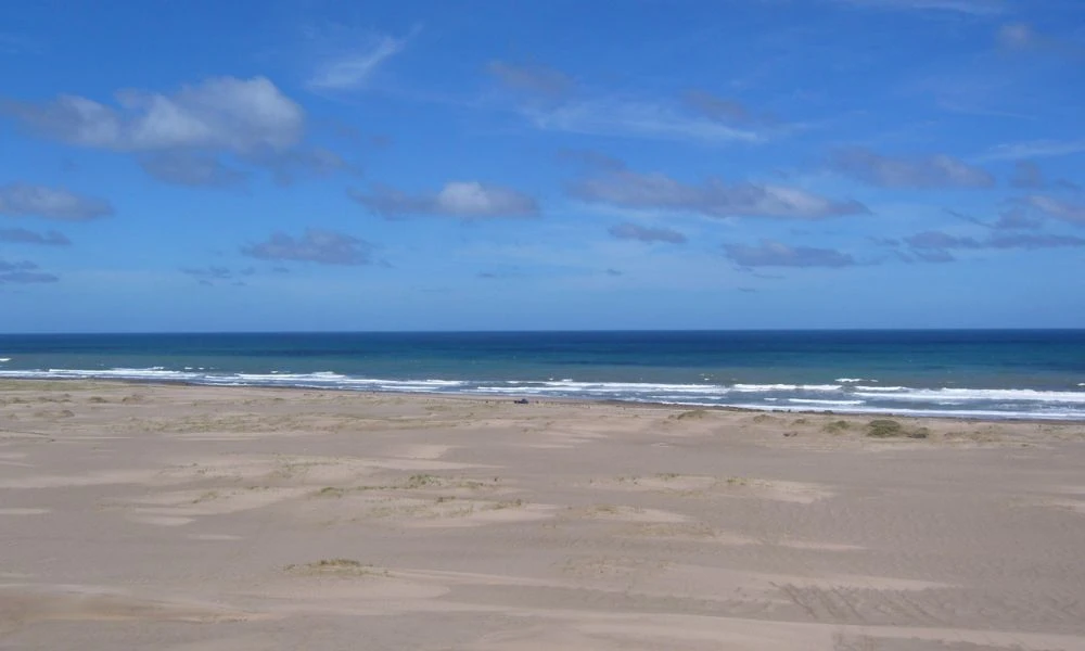 Playas de Arenas Verdes.
