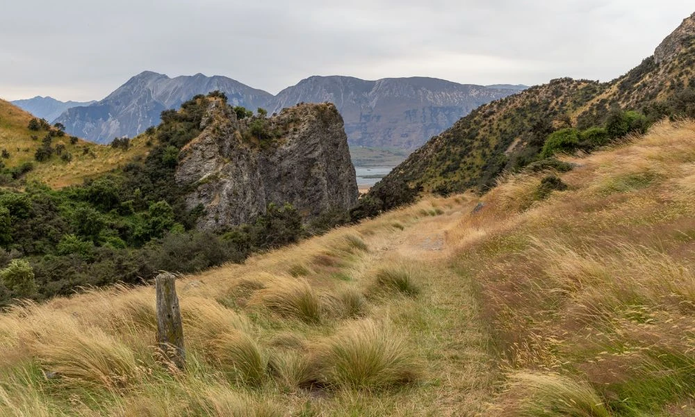 Naturaleza de Nueva Zelanda.