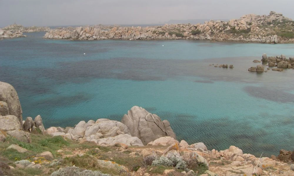 Naturaleza de Islas Lavezzi.