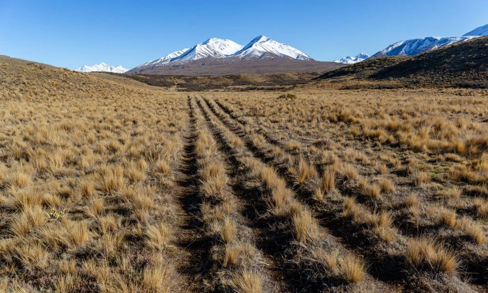 Paisajes que atraviesa Te Araroa.