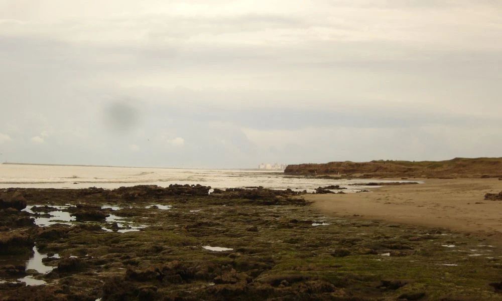 Vistas a Arenas Verdes.