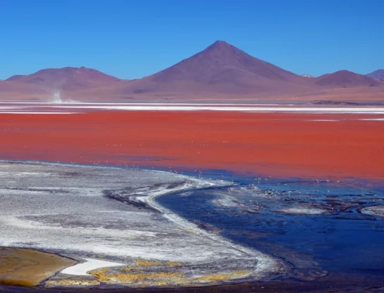 Laguna Colorada: el desconocido paraíso de Bolivia que parece pintado a mano