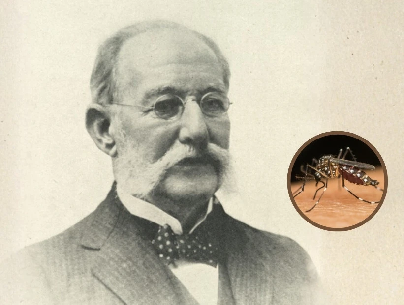 Quién fue Carlos Finlay y por qué se celebra el Día del Médico en su honor cada 3 de diciembre