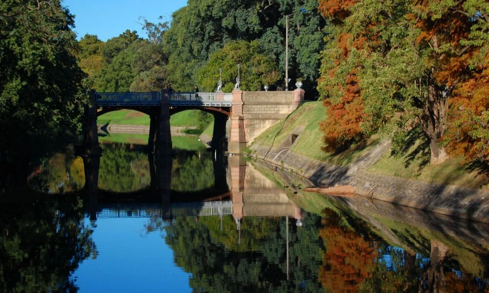 Naturaleza de la ciudad.