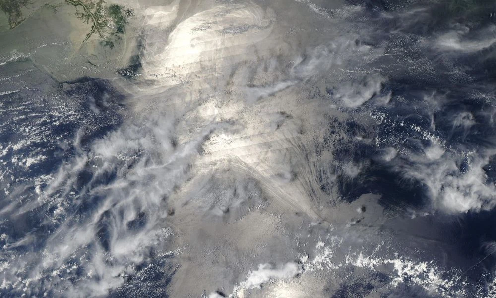 Desastre por el derrame.